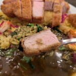 渡邊カリー - スパイスとんかつカリー(2025.01)