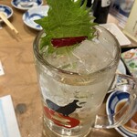 すし酒場 さしす 博多マイング店 - 