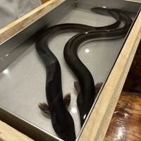 三宅輝 - 