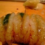 鮨の魚政 - ぼたん海老