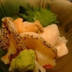 鮨の魚政 - ツブ貝の刺身