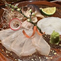 おい河 -  おい河 -
