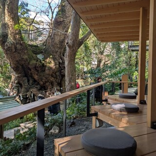 茶寮 五色の杜_2