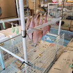 やまもと - 