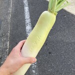 カネ保水産 - サービスでもらった大根