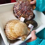 アクアマリン糸島 - 帆立の大きさがバグってる