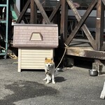 串焼き BUBU-TON - 