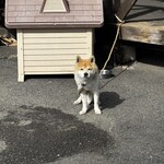 串焼き BUBU-TON - 