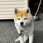 串焼き BUBU-TON - 