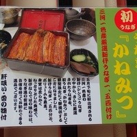 入谷鬼子母神門前のだや - かねみつ