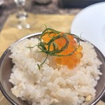 名駅 鉄板焼き 森本Ｘ Premium - 