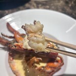 名駅 鉄板焼き 森本Ｘ Premium - 