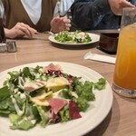 ピッタ ゼロゼロ - 