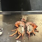 名駅 鉄板焼き 森本Ｘ Premium - 