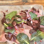 アニマリベラ - 