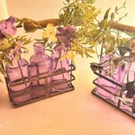 アニマリベラ - 