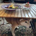 フィッシュ ハウス カフェ - 