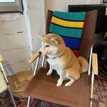 フィッシュ ハウス カフェ - 