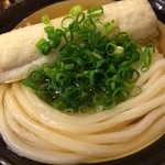 うどん 丸香 - ひやかけ（中）にゴボウ天。冷やしだからこそのうどんのコシに出汁のすっきりとした味わい。至福の一杯です(*´д｀*)