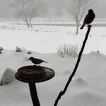 くつきそば 永昌庵 - 