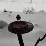 くつきそば 永昌庵 - 