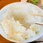 カジュアル食堂 レスト アドル - 