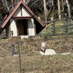 旬菜肆景イタリアン calma - 