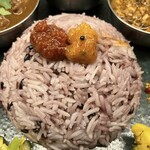 Curry Spice Gelateria KALPASI - 