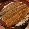 炭焼きうなぎの魚伊 天五店