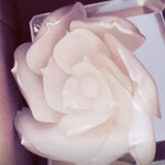 カンテサンス - 