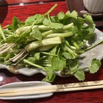 仙台せり鍋と個室和食 せり草庵 - 