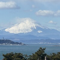 パパゲーノ - 