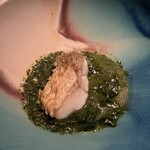 セルサルサーレ - 甘鯛