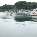 漁協まで出迎えてくれてるとこ