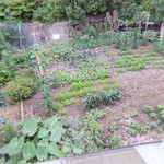 魚山人 - 畑ではお野菜も栽培