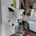 B-yond - 白百合はお店のイメージカラー