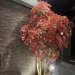 小江戸川越 風鈴酒場 - 