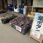上田市丸子農産物直売加工センター あさつゆ - 料理写真: