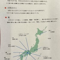 米増 - 