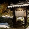 洋食 つばき - 
