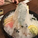 呼子活イカ さかなや道場 - 