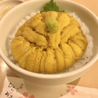 函館うに むらかみ 日本生命札幌ビル店 - 