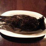 のむくらう Ｇａｚｚａｔ - 鳥０９年・・・スコットランドの雷鳥