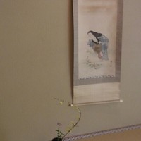 菊乃井 本店 - 