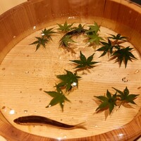 東山無垢 - 