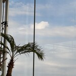 シーバーズカフェ - 