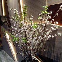 近江うし 焼肉 にくTATSU 青山本店 - 