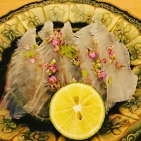 日本料理 晴山 - 