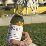 Les Galeries du Mont-Saint Michel - 