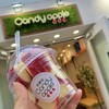 キャンディーアップル 吉祥寺丸井店